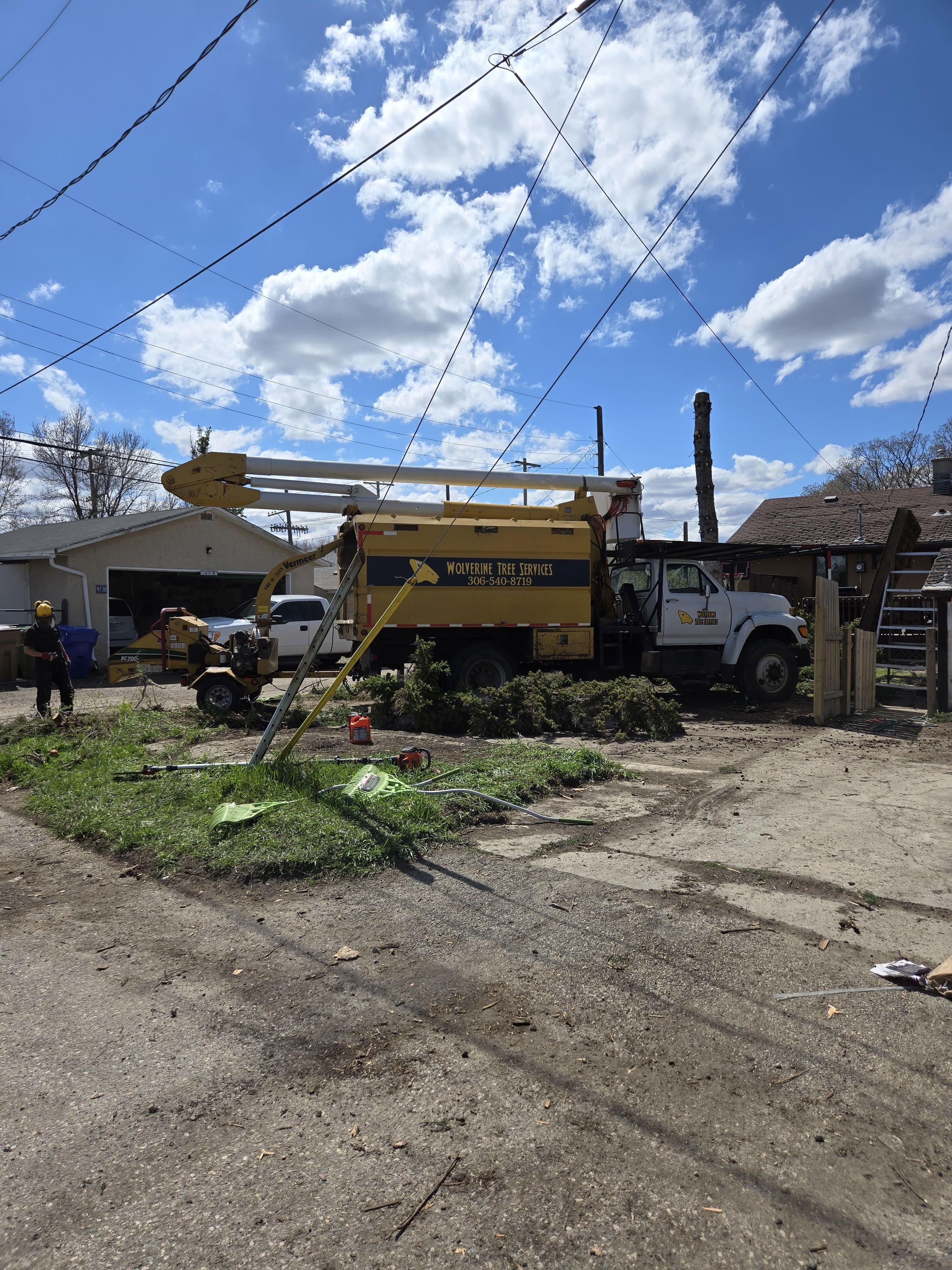 Tree Services | Wolverine Tree Services | Regina